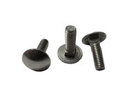 Śruba zamkowa M10 - srebrna, stal kwasoodporna gat. A2